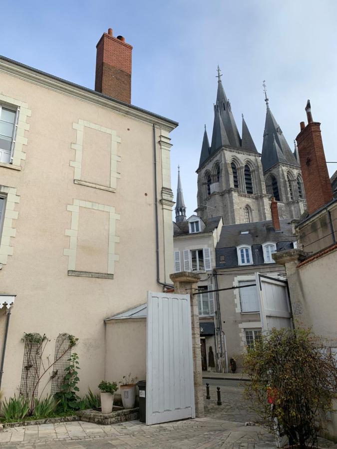 T2 - Au Calme Royaloire - Chateau A Vue - Luxe, Renove บลัวส์ ภายนอก รูปภาพ
